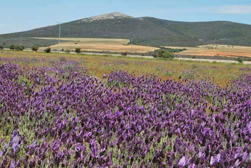 La Perla Casa Rural Sostenible Hiendelaencina Екстер'єр фото